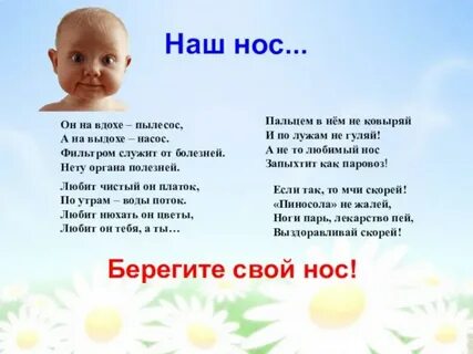 Зачем человеку 2 ноздри