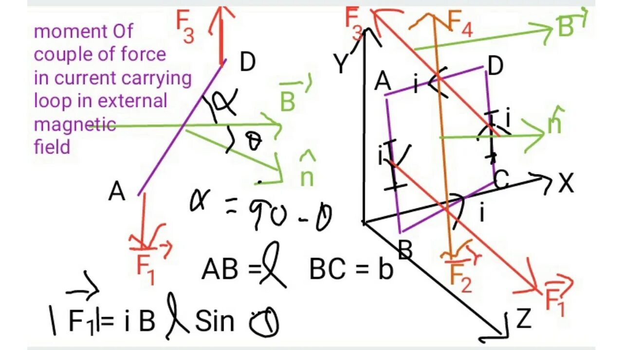 Carry current. Magnetic moment of Nuclei. The Magnetic field of a current carrying loop.