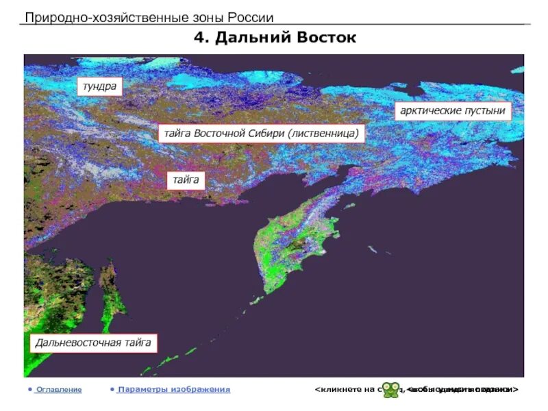 Природно хозяйственные зоны россии вариант 2. Зона дальнего Востока. Природные зоны дальнего Востока. Природные зонвдальнего Востока. Природные зоны дальнего Востока карта.