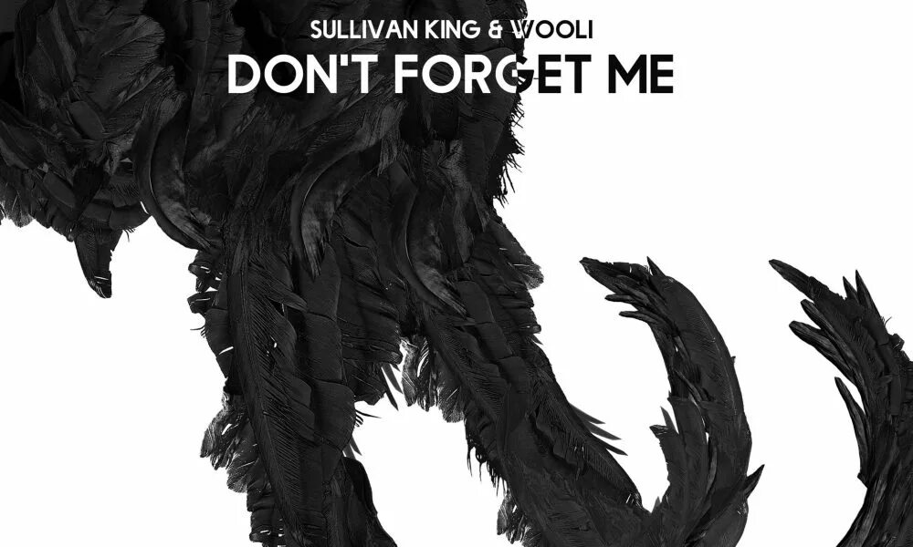 Dont forget me. Sullivan king. don&#039;t forget. don&#039;t forget me. wooli.