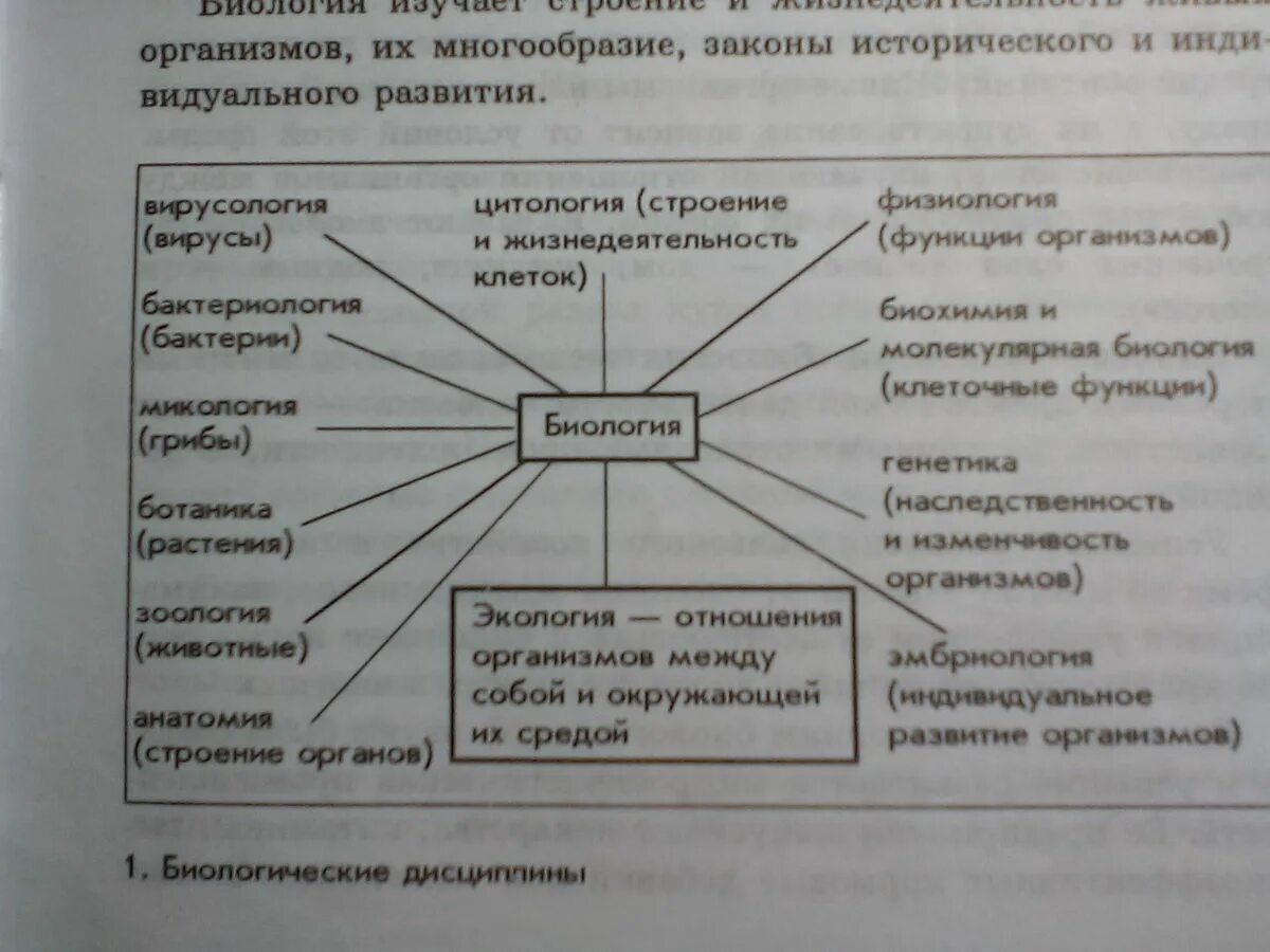 Разнообразие законов
