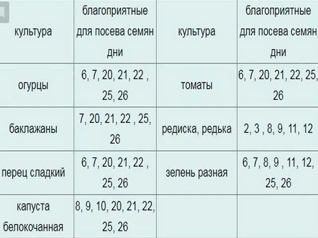 Сроки посадки семян на рассаду. Рассада помидор и перцев. Когда в феврале сеять перец на рассаду. Хорошие дни для посадки перца. Когда в феврале сеять перец на рассаду.