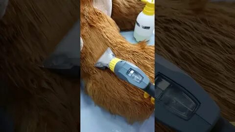 Химчистка игрушек