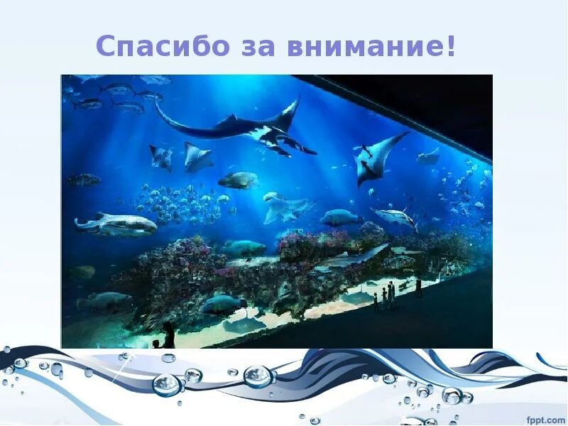 Океанариум. Океанариум 3 класс технология. Океанариум. Изделие «Осьминоги и рыбки»..