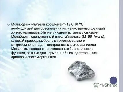 Роль молибдена в организме человека