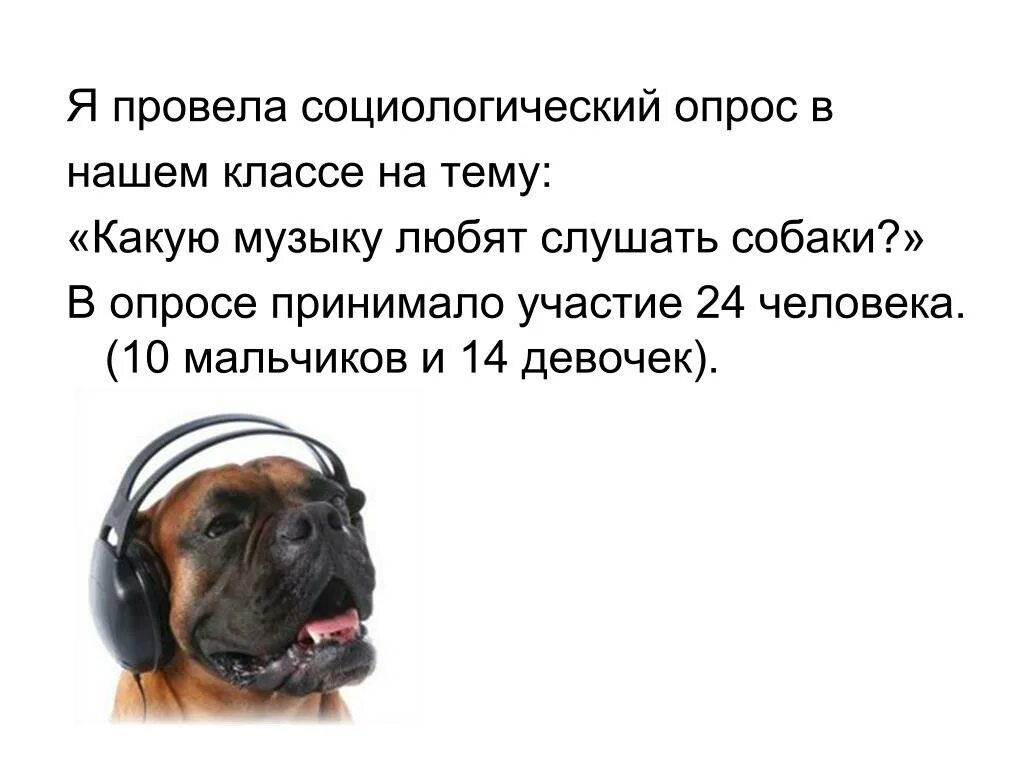 Песня моя собачка одета. Песик слушает музыку. Собака слушает музыку. Какую музыку любят собаки. Собака слушает человека.