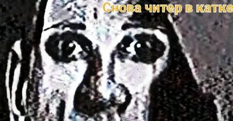 Мем где лицо