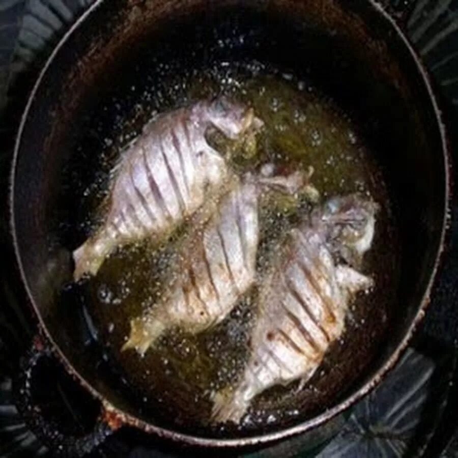 Рыба для жарки. Рыба на сковороде. Жареная небольшая рыба. Живая рыба на сковородке.