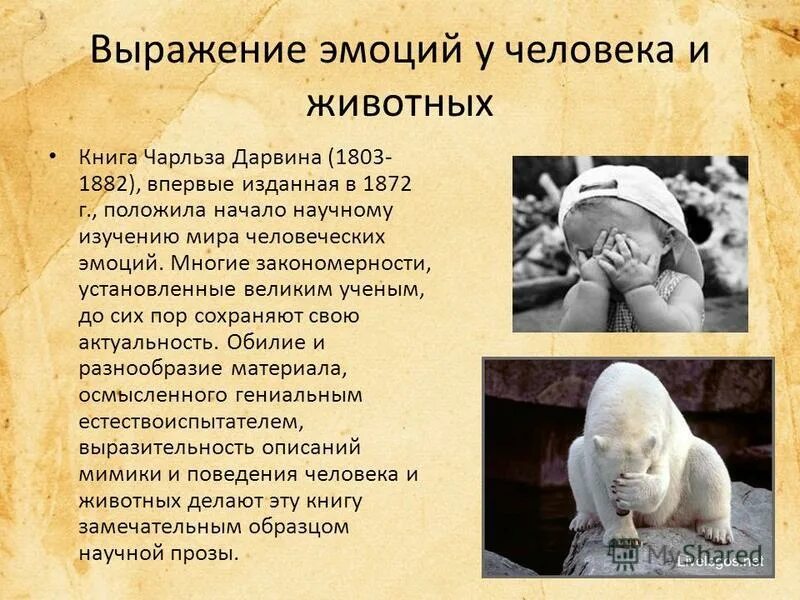 Чарльз дарвин выражение эмоций у человека и животных 1872 год. Дарвин о выражении эмоций у человека и животных. Венгерский язык самоучитель. Дарвин выражение эмоций у человека. Выражение эмоций у человека и животных дарвин.