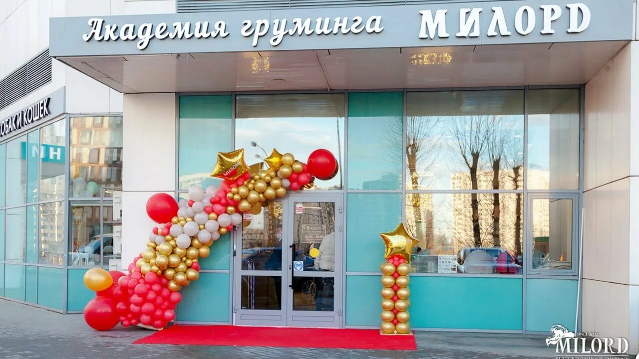 Милорд груминг салон. Милорд салон владелец. Милорд школа груминга. Милорд груминг москва. Милорд груминг салон.