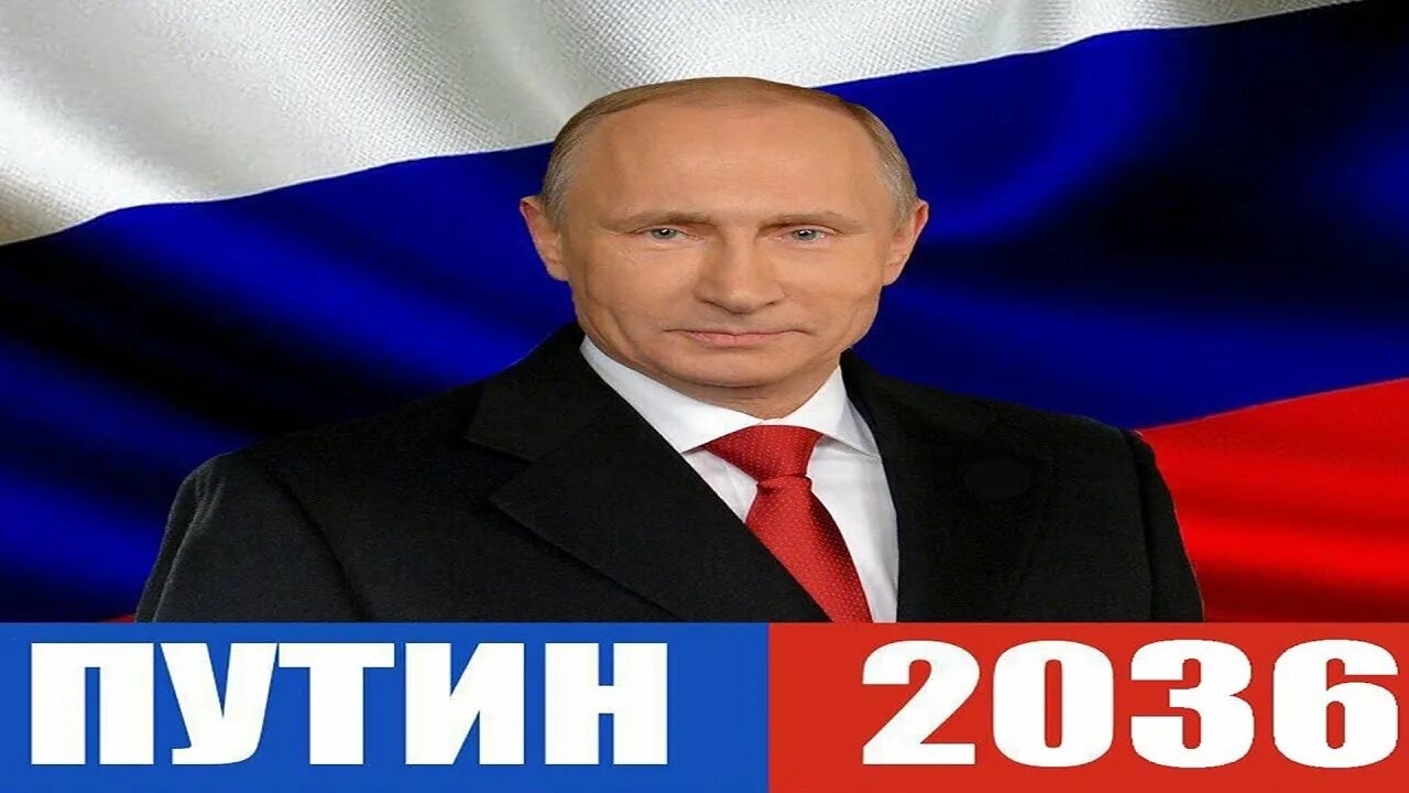 Что такое щитпост. Щитпост. щитпост видео.