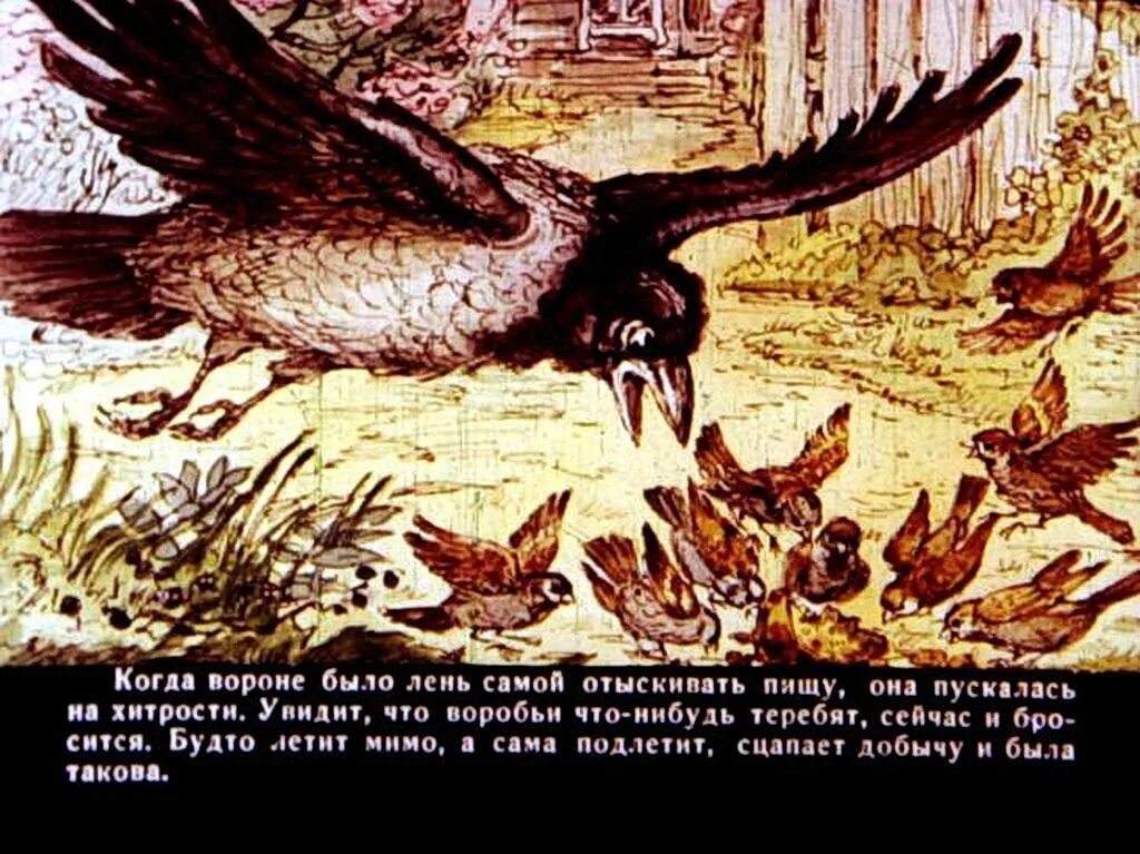 Сказочка про воронушку чёрную головушку и жёлтую птичку канарейку. Мамин сибиряк воронушка. Сказка про ворону мамин сибиряк. Сказка про воронушку черную головушку и желтую птичку канарейку. Сказка про воронушку мамин сибиряк.