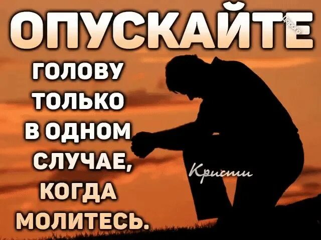 Опускать лоб. Опускайте голову только когда молитесь. Отпускайте голову только в одном случае когда молитесь. Руки опускаются от такой жизни. Не опускай голову цитаты.