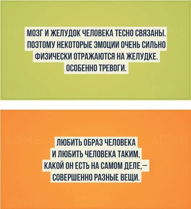 факты которые должны знать человек. сложная инфографика. важно знать историю. интересно. исторические факты которые должен знать каждый образованный человек.