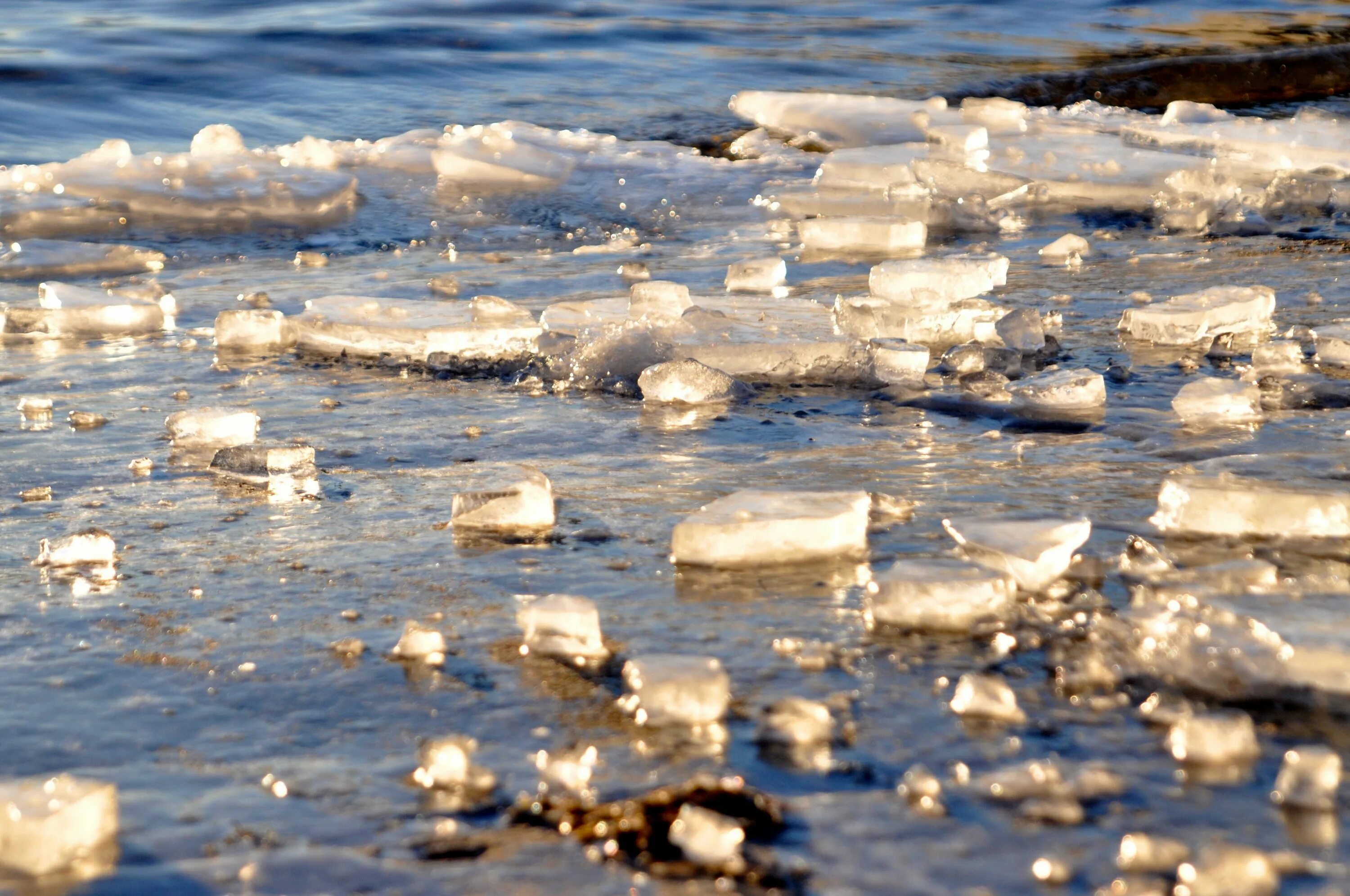 Вода со льдом. Лед. Лед на поверхности воды. Замерзшая вода.