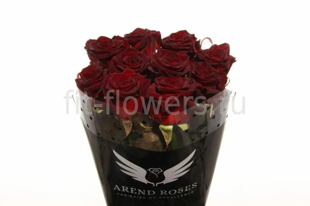 блэк баккара декор. блэк баккара декор. роза блэк баккара. блэк баккара декор интернет магазин. блэк баккара магазин декора.