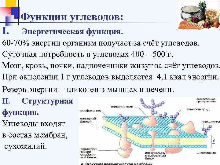 Углеводы мембран функции. Всасывание углеводов. Энергетическая функция углеводов в организме человека. Углеводы функция суточная потребность. Энергетическая функция углеводов организме.