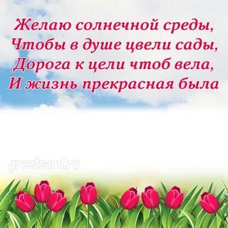 Солнечная среда