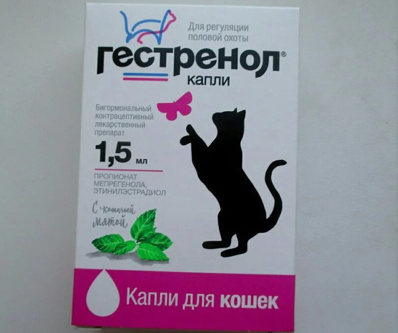 Как давать капли кошке. Таблетки для кошек. Капли для кошек. Противозачаточные препараты для кошек. Гормональные препараты для кошек.