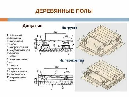 6 разных полов