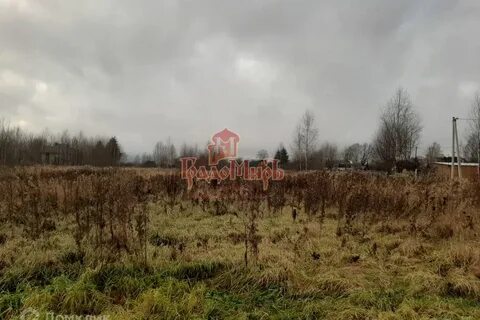 Участки в дмитрове московская область