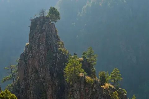Скала аватара