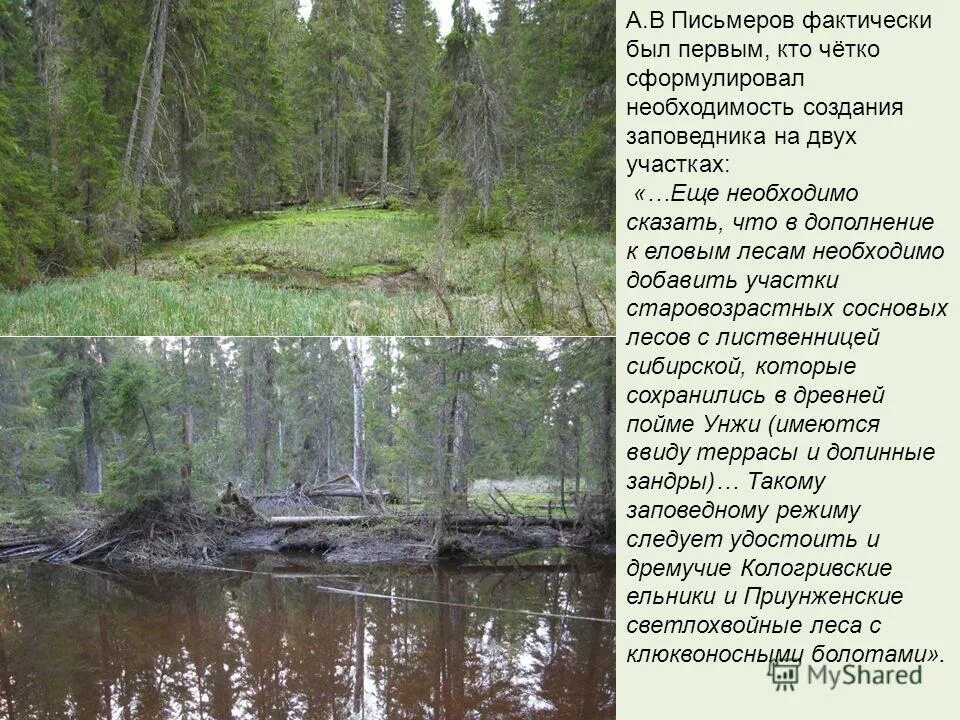 заповедник нургуш в кировской области. волжско-камский биосферный заповедник. животные заповедника алехина курской области. заповедник нургуш и тулашор. заповедник из двух участков.