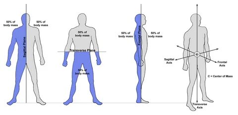 Table center body body