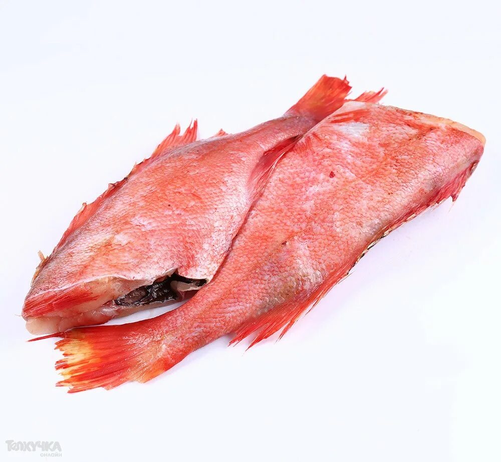 Красная рыба 1 кг. Клюворылый морской окунь. Окунь морской свежемороженый. Морской окунь БГ. Красный морской окунь.