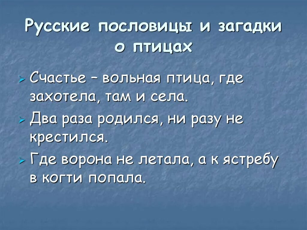 Пословица воля птичке дороже. Пословицы о птицах. Пословицы и поговорки о птицах. Поговорки про птиц. Загадки и пословицы о птицах.