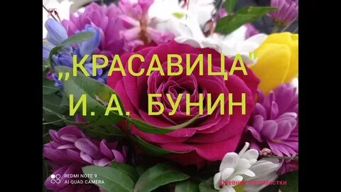 Бунин красавица
