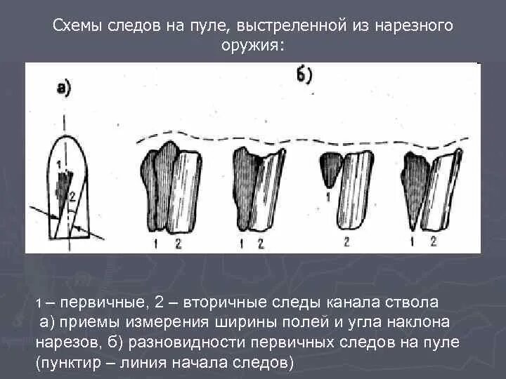 Пуля со следами. Общая схема следов на пуле и гильзе. первичные и вторичные следы на пуле. следы на пуле криминалистика. стреляная пуля следы.