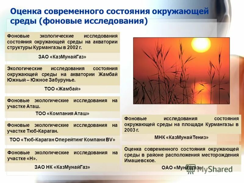 Оценка изменения состояния окружающей среды. Методы оценки состояния окружающей среды. Система наблюдений оценки и прогноза состояния окружающей среды это. Оценка состояния окружающей среды фоновые показатели. Оценка состояния окружающей среды.