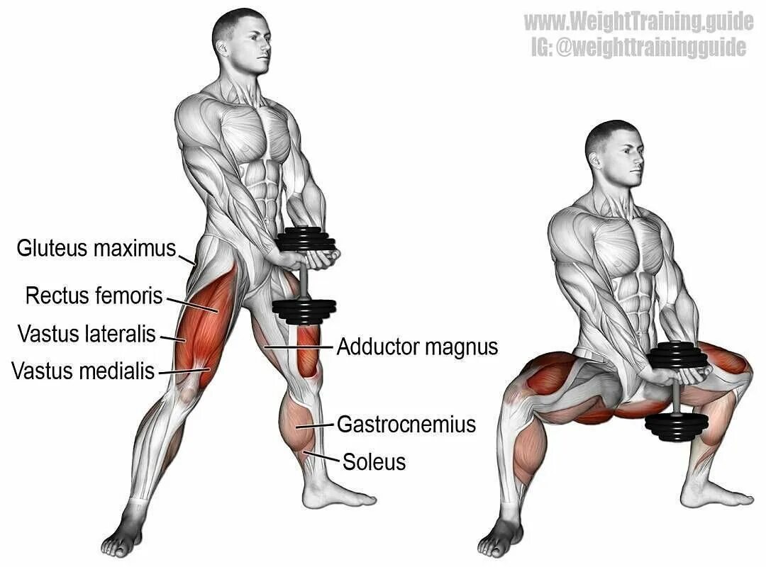 Какая нога сильнее. Приседания плие с гантелями. Приседание плие с гантелью. Приседания плие для мужчин. Приседания сумо с гантелей какие мышцы работают.