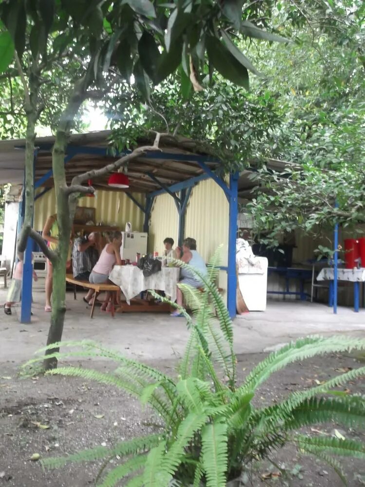 Пицунда гочуа карта. Пицунда, ул. гочуа, 57. гочуа 11 пицунда. гочуа 56 пицунда.