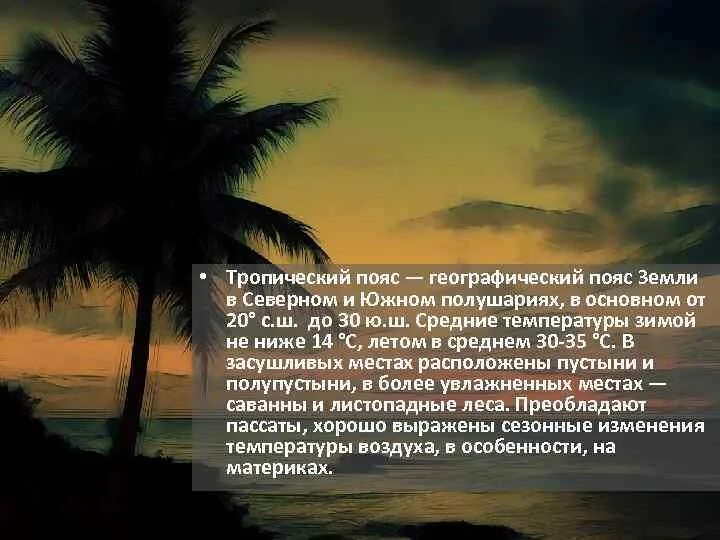 Жизнь в тропическом поясе. Тропический пояс презентация. Описание тропического пояса. Природа тропического пояса презентация.