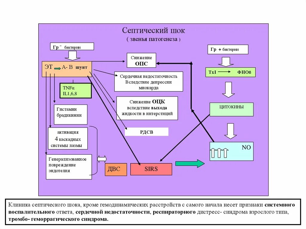 Патогенез септического шока схема. Механизм развития септического шока. +Пусковой механизм развития септического шока. Звенья патогенеза септического шока. Компенсация септического шока