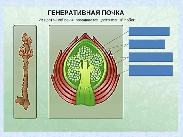 Генеративное изображение