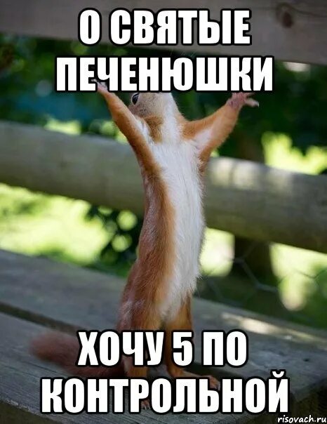 Хочу 5 и не хочу вопросов