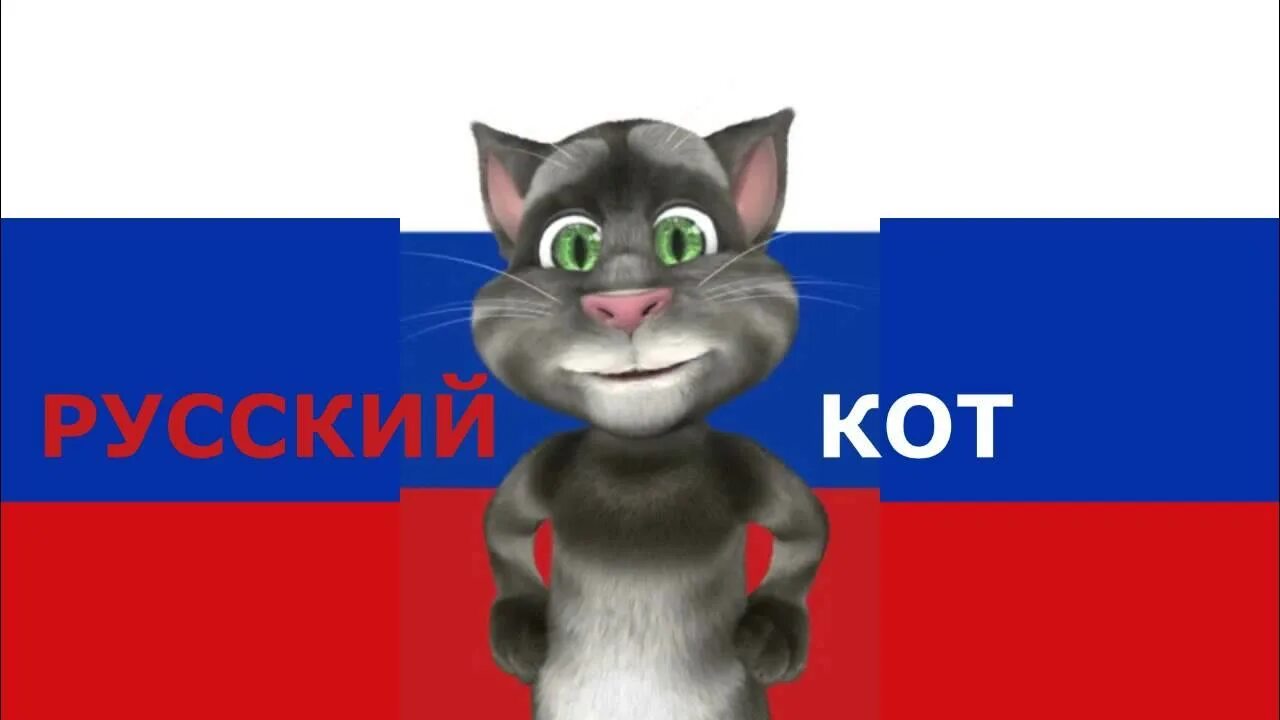 Русский vide. Я русский кот. Шлёпа русский кот. Кот Мем на русском. Я русский котенок.