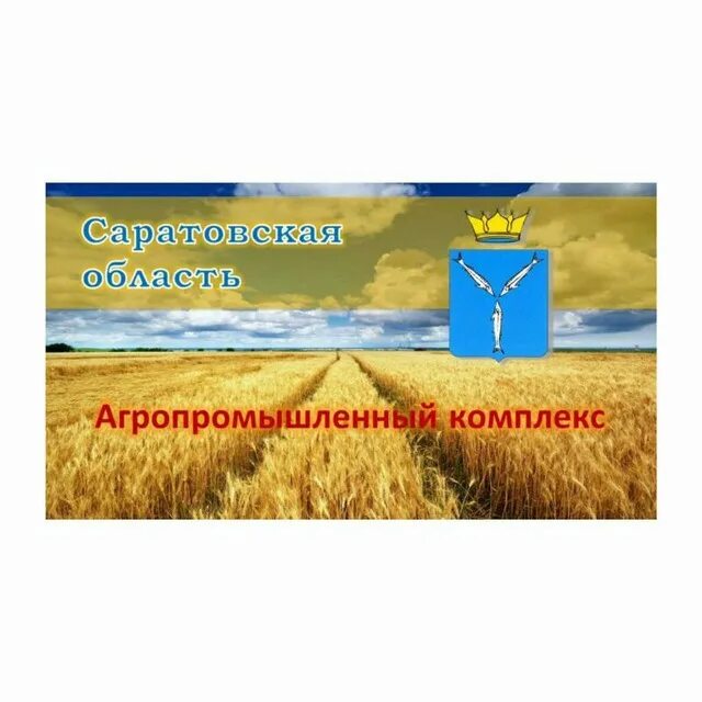 Агропромышленный комплекс. АПК Саратовской области. «Агропромышленный комплекс «красава». Хозяйство Саратова.