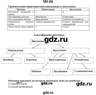 Биология 6 класс рабочая тетрадь стр 4