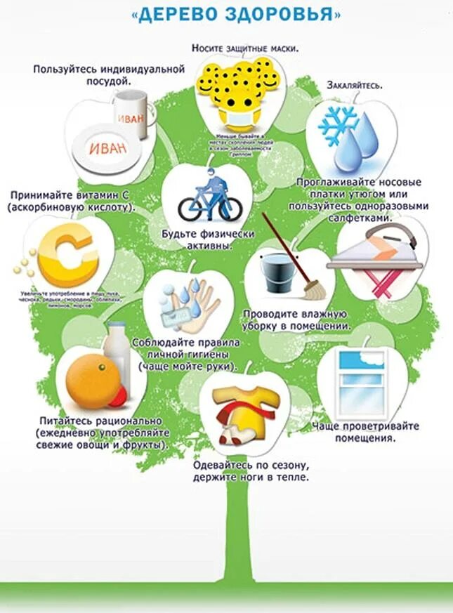 Рисование дерево здоровья. Дерево здоровья подготовительная группа. Плакат дерево здоровья. Рисование дерево здоровья в старшей группе. Дерево здоровья в детском.