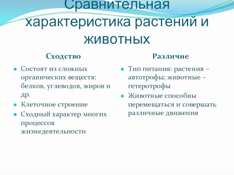 В чем состоят сходства и различия. Сходства и различия животных. Сходства и различия тканей животных и растений. Ткани растительные и животные сходства и различия таблица. Ткани животных сходства и различия.