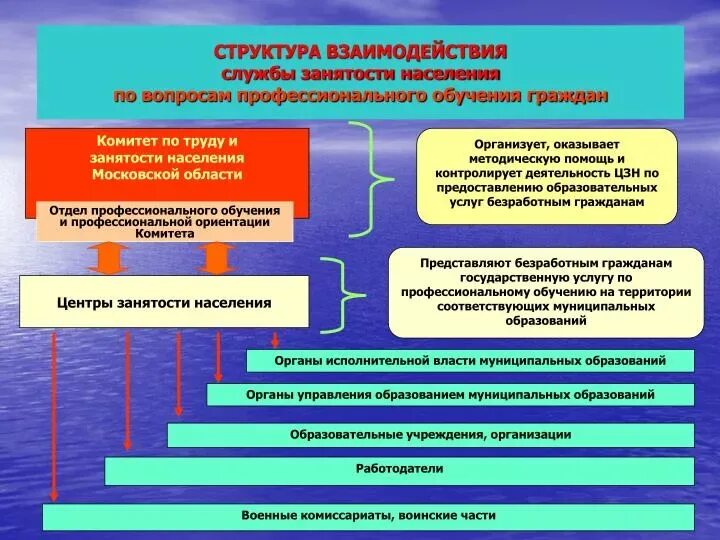 Государственного управления занятостью населения. Структура государственной службы занятости. Организация занятости населения. Организация работы органов занятости.. Взаимодействие со службой занятости.