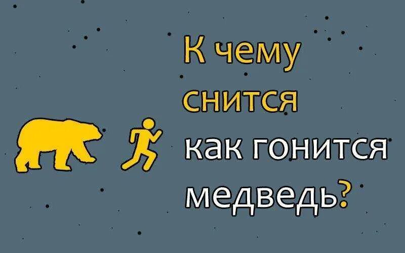 Снится гонится мужчина. К чему снится медведь. К чему снится медведь мужчине. Сонник медведь гонится. Медведь во сне к чему снится.