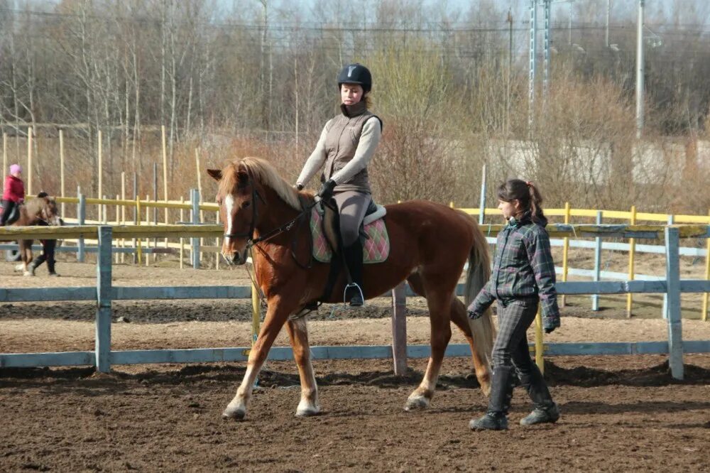 Конный клуб вороново. Конно-спортивный комплекс. план конно-спортивного комплекса. кск всадница. конный клуб всадница.