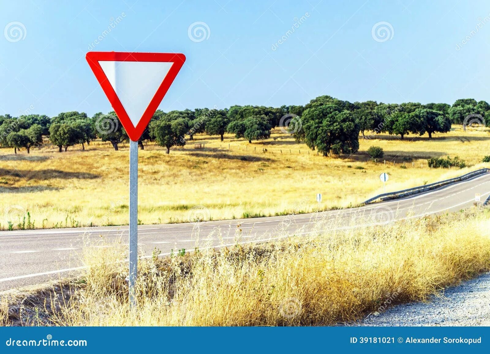 Дорожный треугольник. Красный треугольник дорожный. Красный дорожный треугольник на дороге. Треугольный знак Уступи дорогу. Перевернутый треугольник знак дорожного