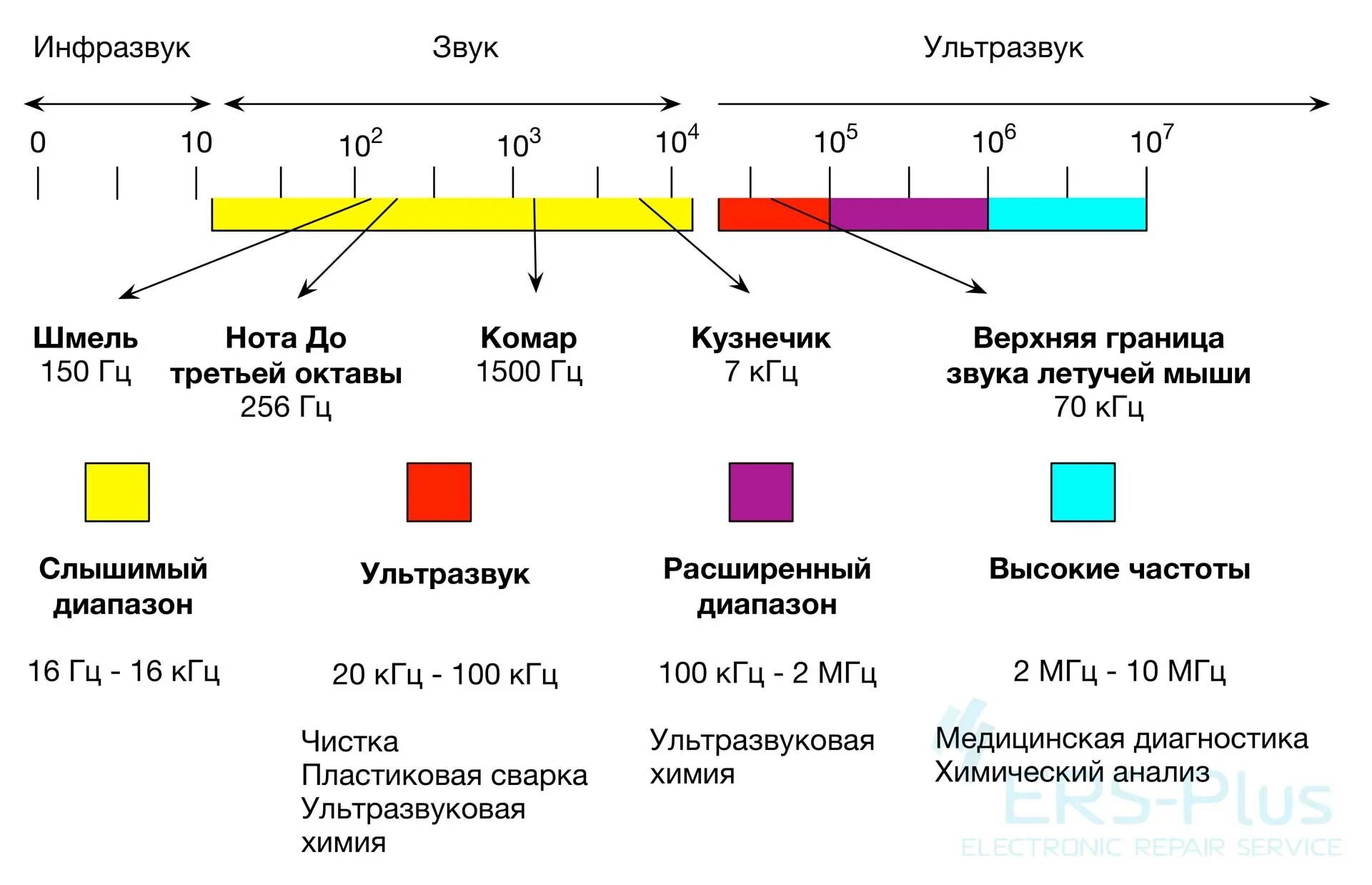 Частота значение звуков