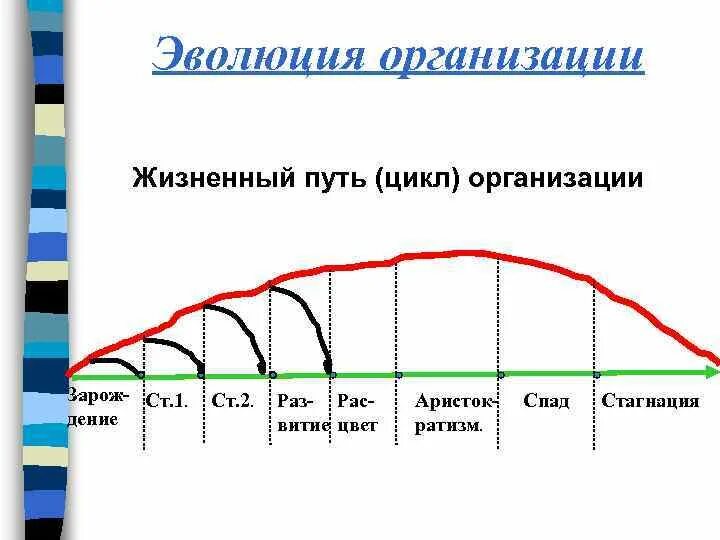 Жизненный цикл организации стагнация. Жизненный цикл предприятия. Жизненный цикл организации спад. Стадии жизненного цикла стагнация.